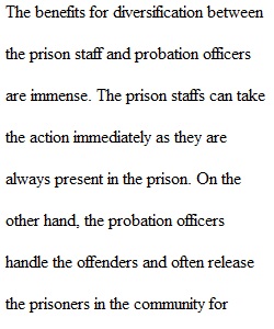 Diversifying prison staff